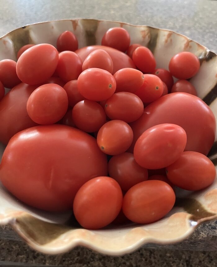 Stirring the Pot: Things I’ve Learned