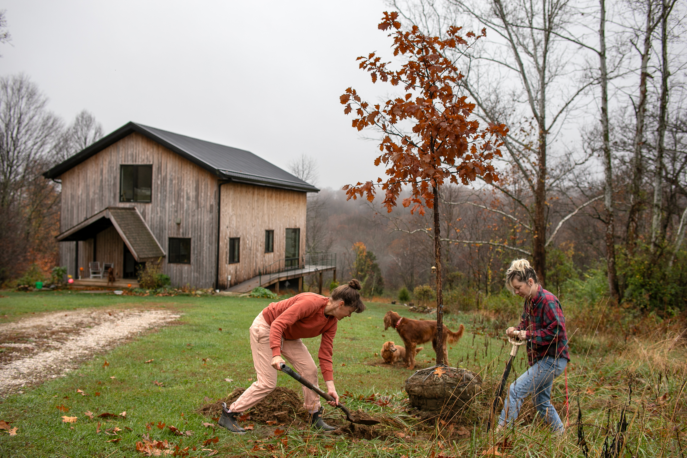 Culver and Siosi at home
