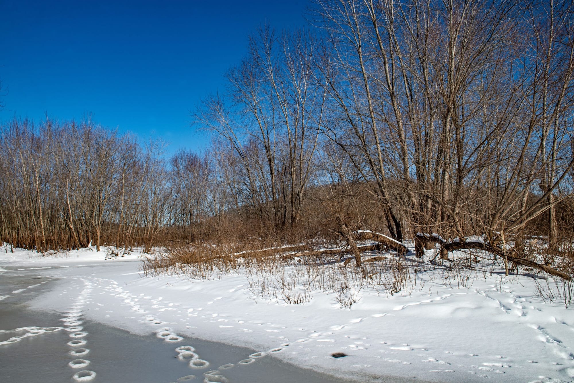 a frozen creek covered in snow surrounded by brown trees and hills
