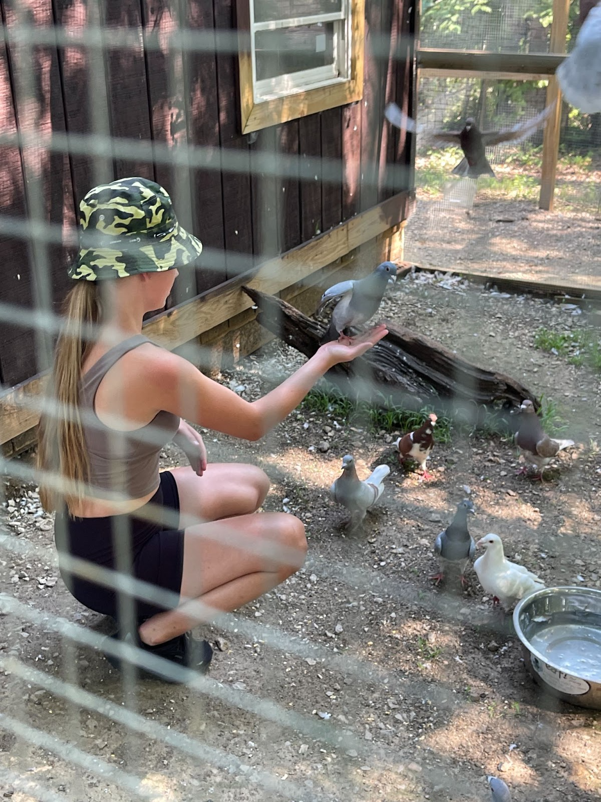Lily holds a bird inside a caged enclosure.