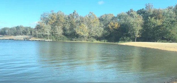 A sandy beach and shoreside trees at Monroe Lake