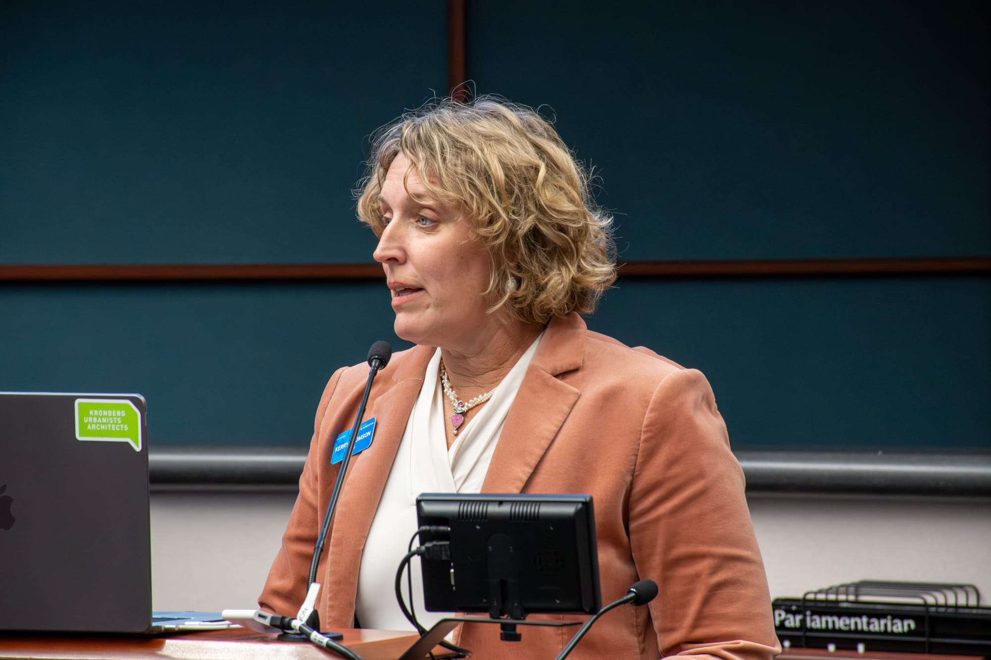 Bloomington's Mayor Kerry Thomson addresses the city council.