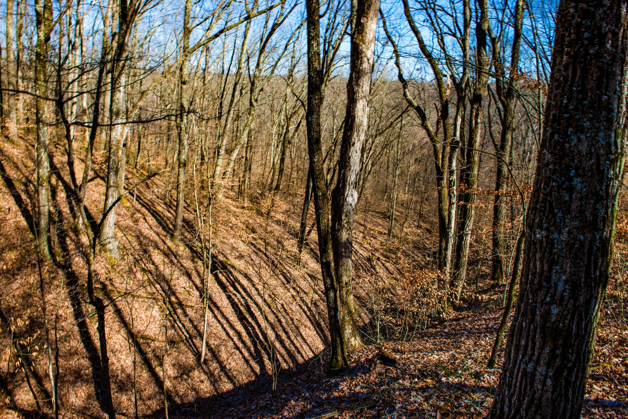 a deep ravine between forested hills