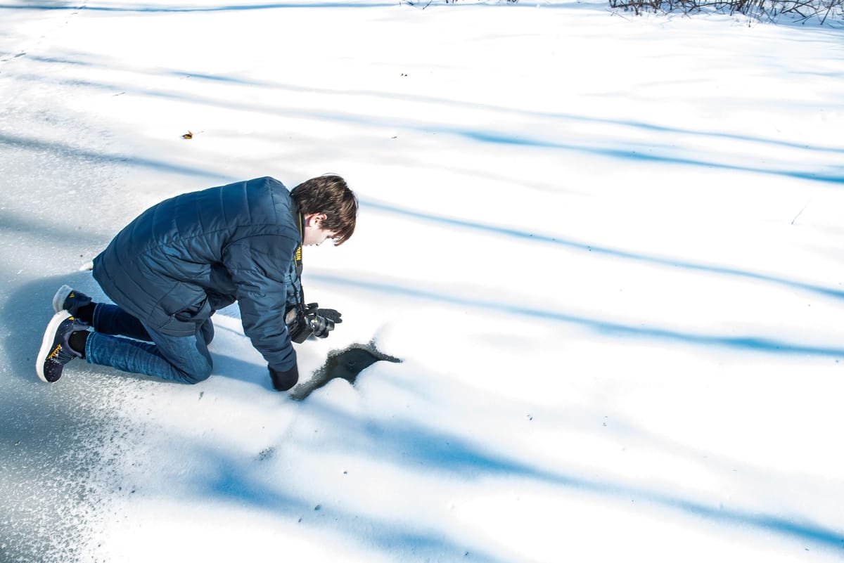 a young boy peers into a hole in a frozen creek