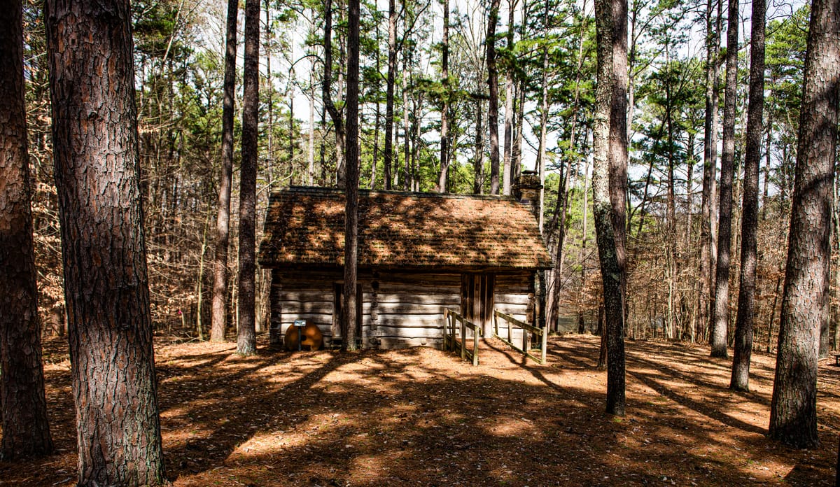 a small reconstructed 19th century cabin in the midst of tall pine trees