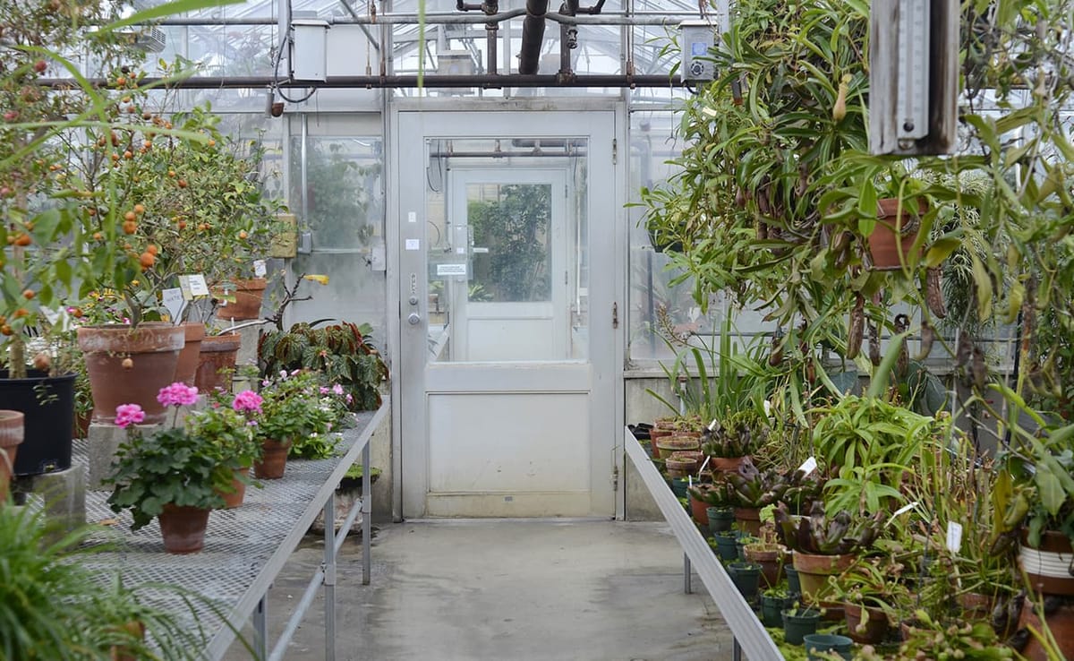 6 Things You Didn’t Know About the Jordan Greenhouses