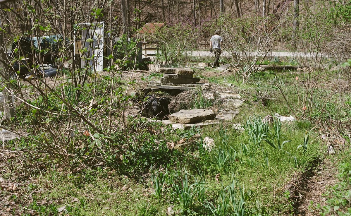 Permaculture, says writer Daniel Bingham, originated as an attempt to reshape industrial agriculture into sustainable ecologi