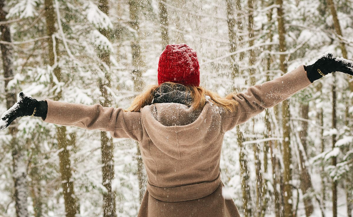 Feeling idle in the post-holiday lull? Writer and LP editor Dason Anderson has compiled a list of 12 happenings to get you ou