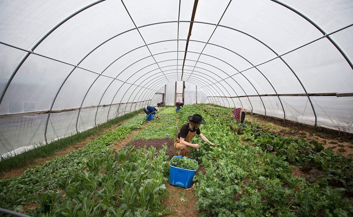 Knowing where your food comes from is more important than ever. With the first Bloomington Community Farmers’ Market of the s