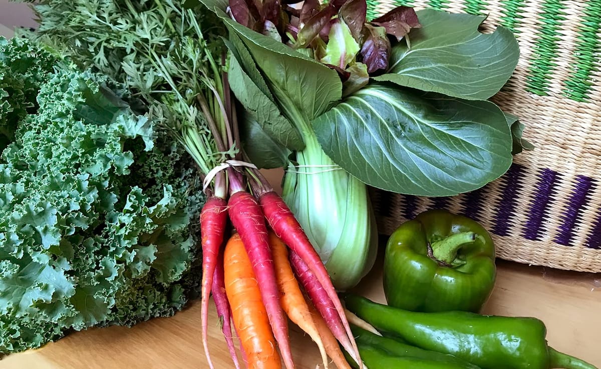 Local farms that participate in Community Supported Agriculture (CSA) programs offer more than just fresh produce. Not only d