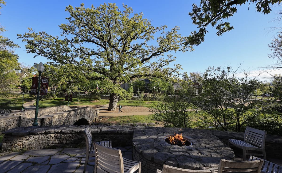 Gingko, bald cypress, sassafras, and paw-paw are just a few of the notable species of trees that give Indiana University’s Bl