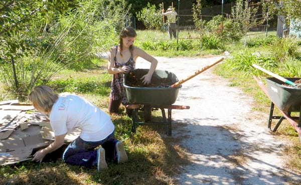 You can help out in the Bloomington Community Orchard during their Work and Learn Days on Wednesday evenings. | Photo courtes