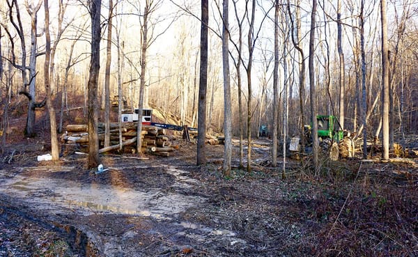 Where once there was a trailhead near Crooked Creek Road on the Tecumseh Trail, Matt Flaherty encountered logging equipment a