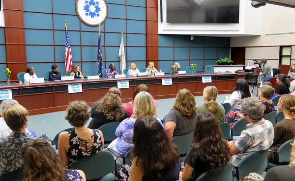 Rise to Run is a new grassroots movement whose goal is to mobilize young progressive women to run for office. The Bloomington