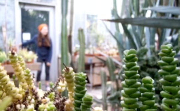 Rachel Bahr's Academy of Science and Entrepreneurship English 11 class created videos exploring their sense of place. A still