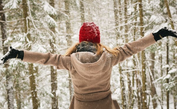 Feeling idle in the post-holiday lull? Writer and LP editor Dason Anderson has compiled a list of 12 happenings to get you ou