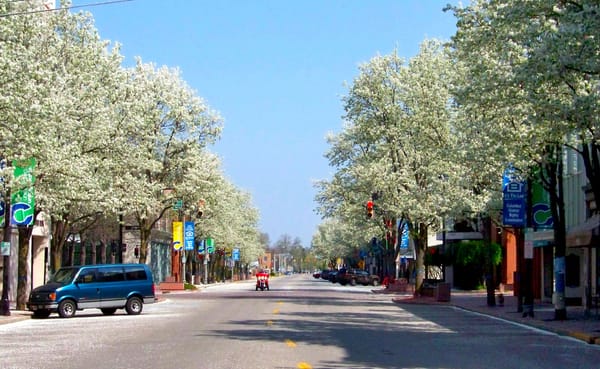 They’re a centuries-old assault on our environment, but eradicating invasive plants, such as the Callery pear tree (pictured