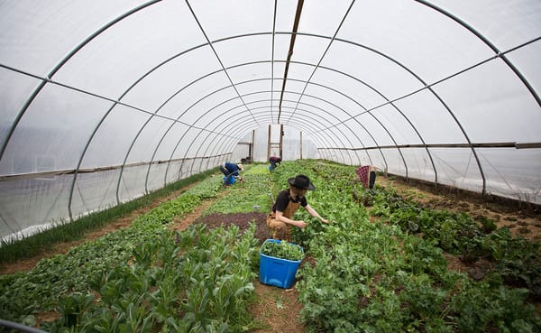 Knowing where your food comes from is more important than ever. With the first Bloomington Community Farmers’ Market of the s