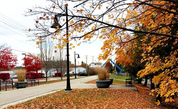 A sea of golden leaves, an old railroad bridge, the chatter of downtown, front porches … these possess “the reality of what B