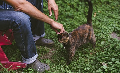 “All that I’m interested in in my work and in my life,” Gay says, “is how we love and hate and relate to each other; that’s kind of all I care about. And I suspect that’s probably going to be the thing that I continue to care about.” | Photo by Photo by Natasha Komoda