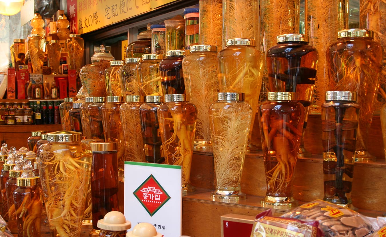 Wild ginseng from the Bloomington area usually ends up in apothecaries and boutiques in various countries in Asia. | Photo by Damien Dempsey, yarra64