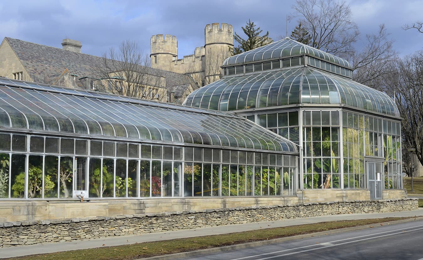 Greenhouse_web
