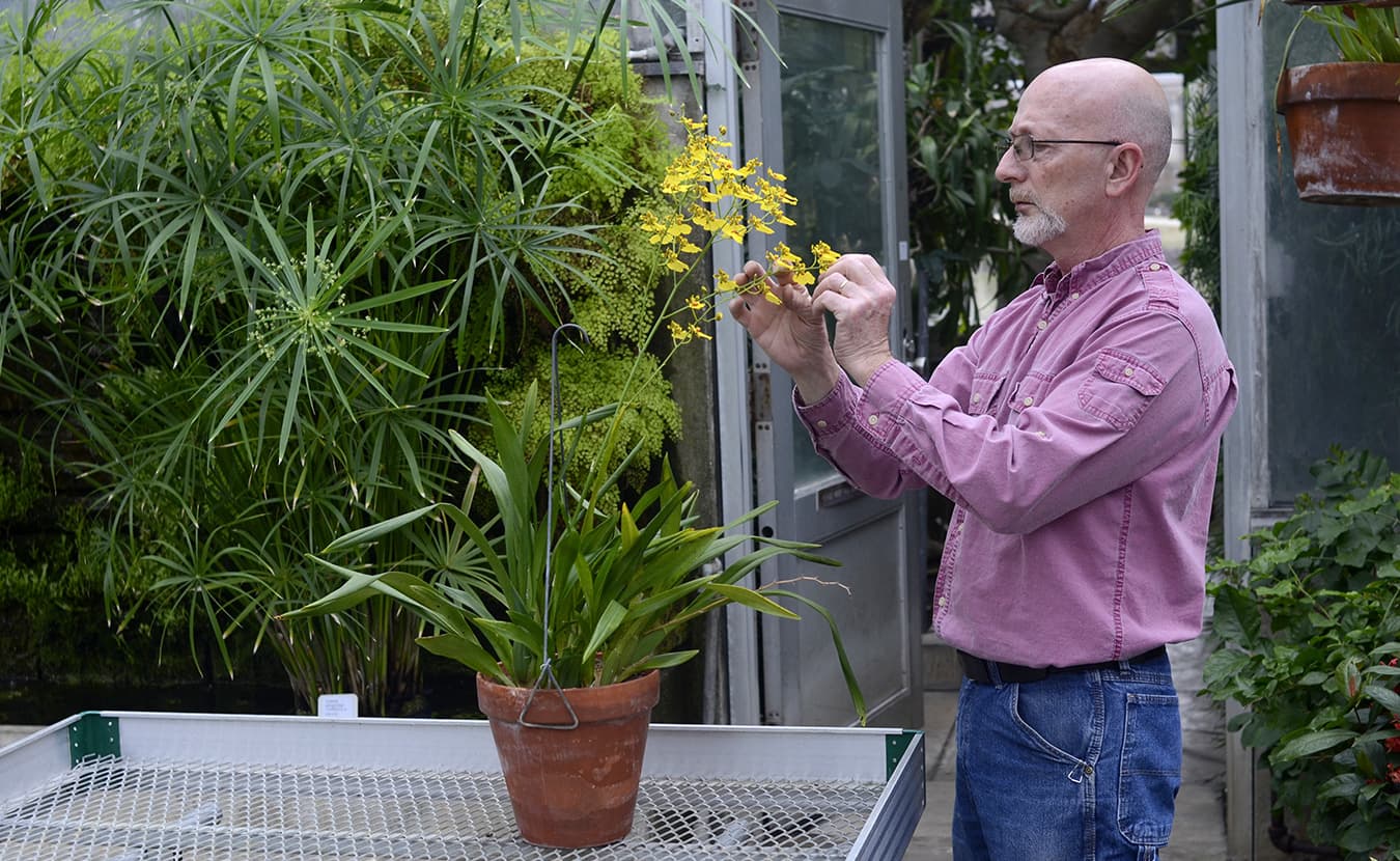 John Lemon, the greenhouse supervisor, checks one of the many plants at the Jordan Greenhouses while on his rounds.