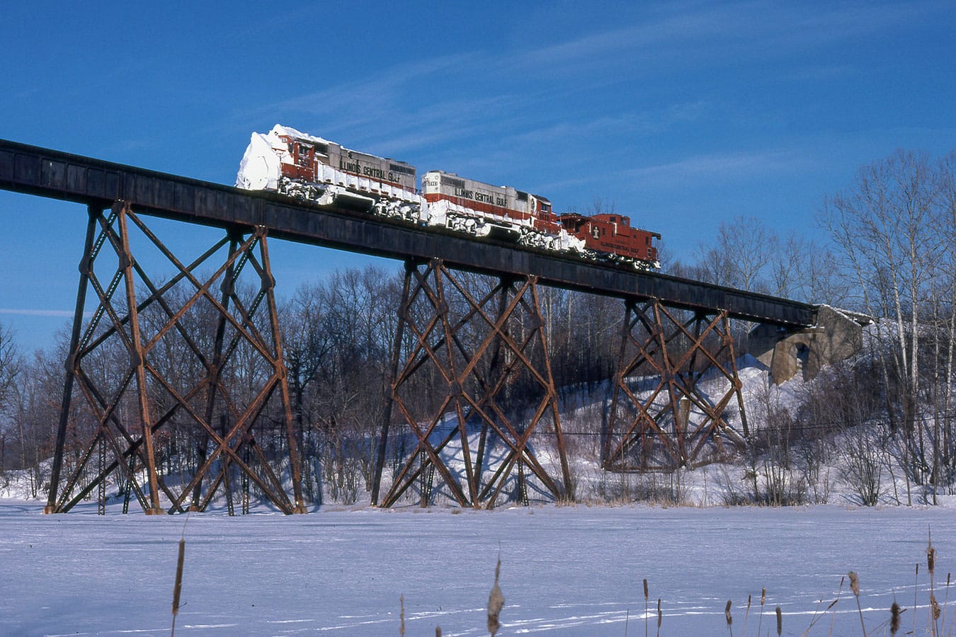 Photo by Richard Koenig