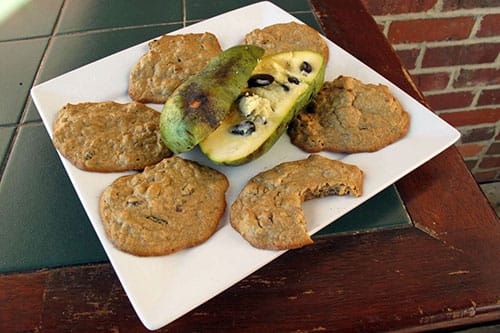 Chef Daniel Orr's Paw Paw Cookies. | Courtesy photo
