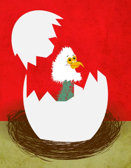Nest_Generation_Initiative
