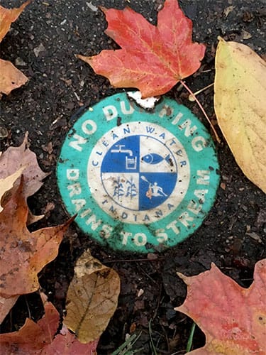 It’s a lot easier to keep pollutants from entering the water than it is to get them out later. | Limestone Post