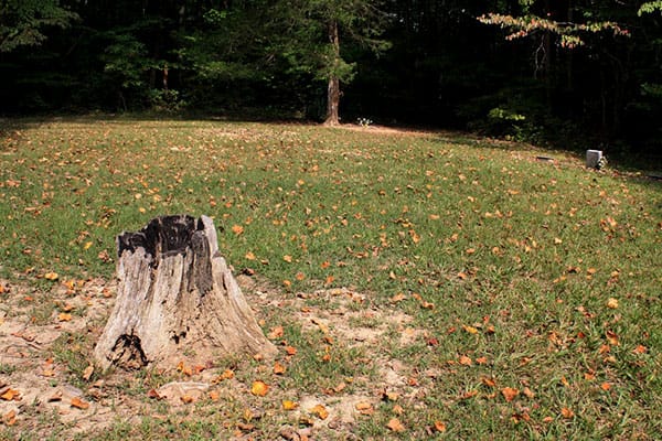 Stepp Cemetery in Martinsville, Indiana. | Photo by Grayson Pitts