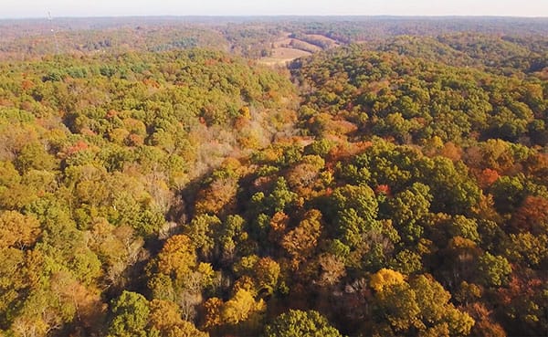 Sycamore Land Trust is hosting a hike at the Laura Hare Nature Preserve at Downey Hill, pictured here, on January 6. | Photo by Seth Teeters