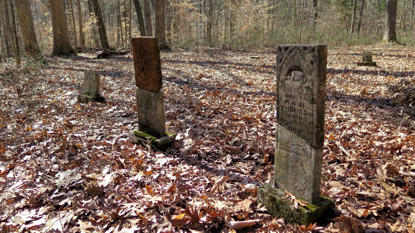 Campbell has found evidence of progressive ideals held in the Lick Creek settlement. | Limestone Post