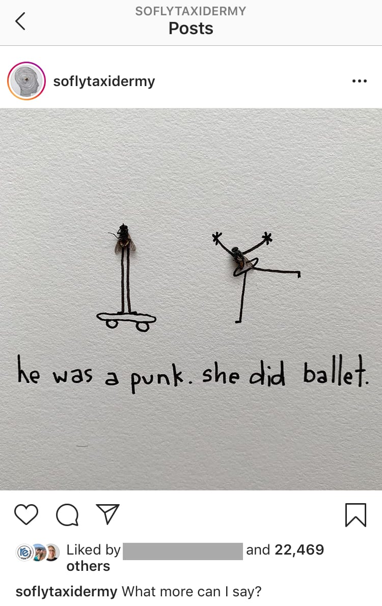 Beckman’s bug-crazy hobby began with drawings she made to impress a guy. “The guy never worked out,” she says. | Courtesy photo