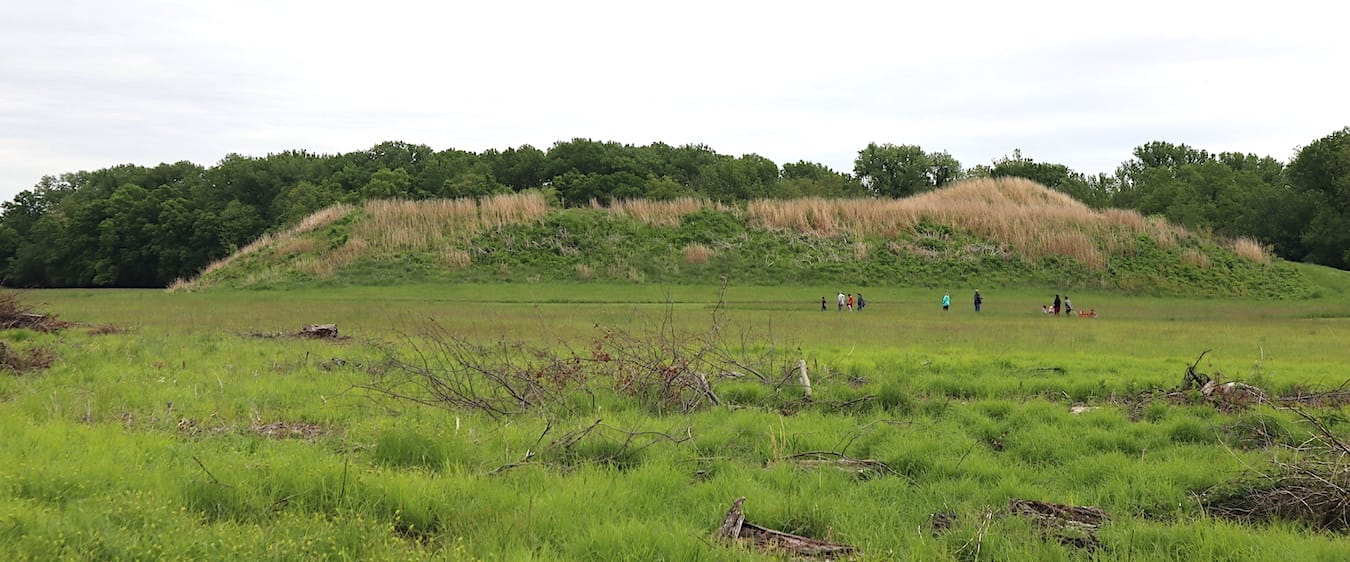 Mound A (above) is the central mound at Angel Mounds. The town had 12 other mounds, on top of which stood the homes of spiritual leaders and important people, as well as places of religious worship. The majority of the Middle Mississippian cities, including Cahokia (the largest Mississippian city, near present-day St. Louis) and Angel Mounds, were abandoned around 1450, prior to Columbus’s landing in the Caribbean in 1492. | Photo by Laura Martinez