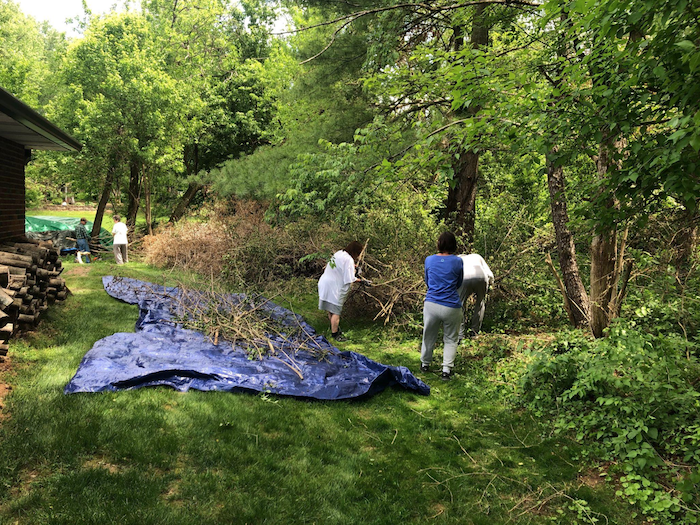 Volunteers in the Blue Ridge neighborhood work together to remove Asian bush honeysuckle from their properties. | Photo by Sean Chung