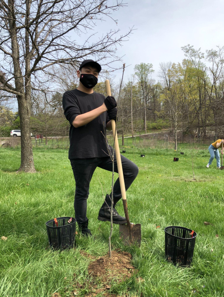 The author plants a native tree at Southeast Park during a volunteer day with MC–IRIS. | Courtesy photo