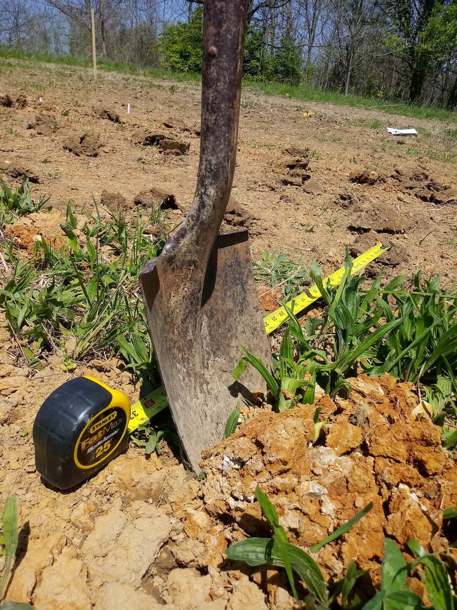 Soils that are heavy in clay may have more nutrients, but they can also become hardpan, where water hits the surface and runs off before it can be absorbed. | Photo by Jami Scholl