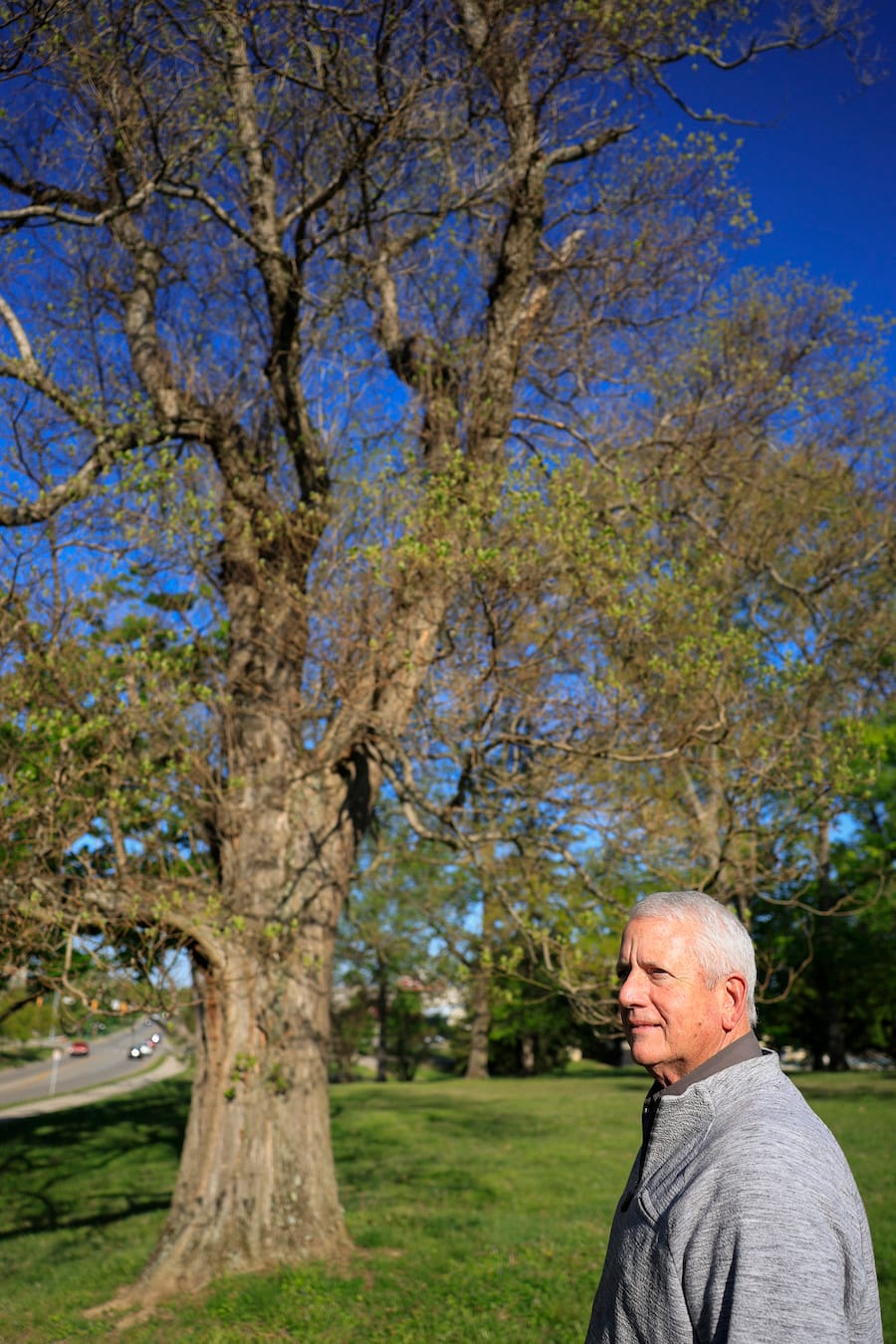 One of Girvin’s favorite trees on campus is this one he's standing near, a sassafras tree measuring 41 inches diameter at breast height, by the outdoor pool on East 17th Street near Fee Lane. | Photo by Jeremy Hogan