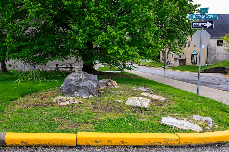 A collection of fossilized tree trunks are arranged in a plot of land behind the Geology Building, near Luddy Hall. | Photo by Jeremy Hogan