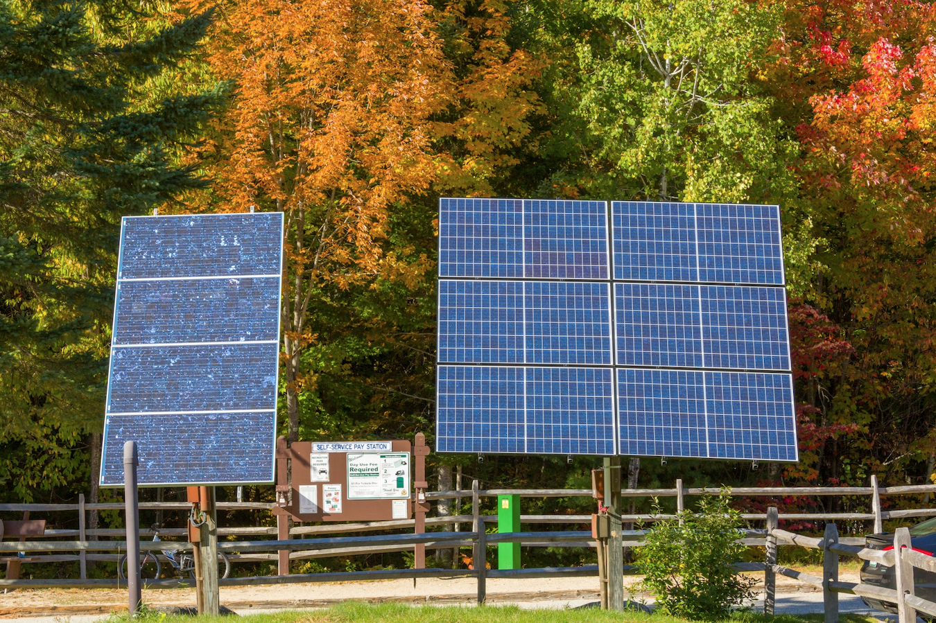 Planting trees or installing solar panels does not have to be a binary choice. Rooftop solar installations, solar carports, and creative architectural designs allow us to harness renewable energy without sacrificing trees. Deliberate urban planning can cultivate a balance between sustainable solutions.
