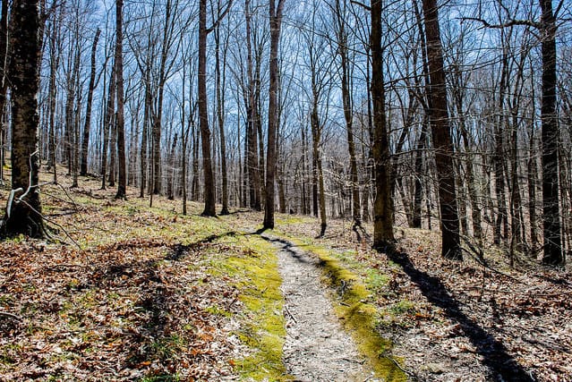 The legislation would add backcountry acreage, including Nebo Ridge (above), to the north, east, and southeast perimeters of the Deam Wilderness. | Photo by Steven Higgs