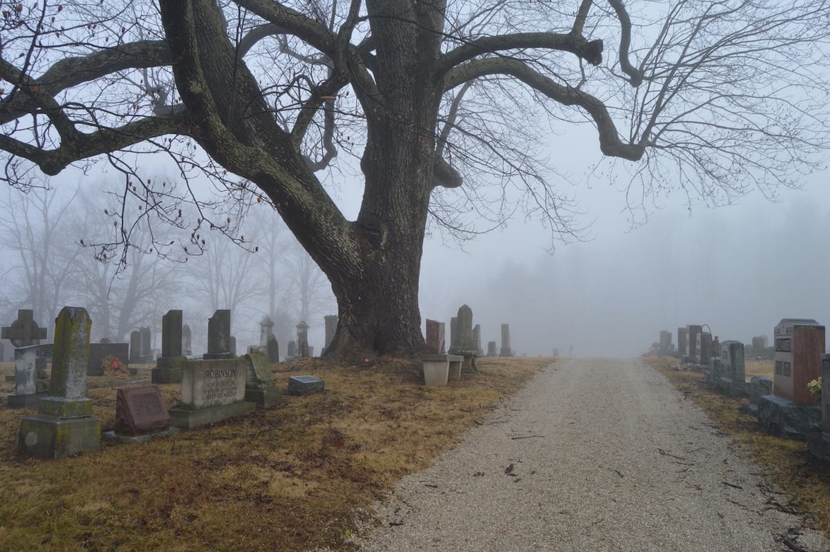Mt. Gilead Cemetery — I have spent hours taking pictures of this beautiful place. The tree, the unique graves, the church, the wall, the tiger lilies, the train, and when the moon is out or there is some fog. How old is that tree?