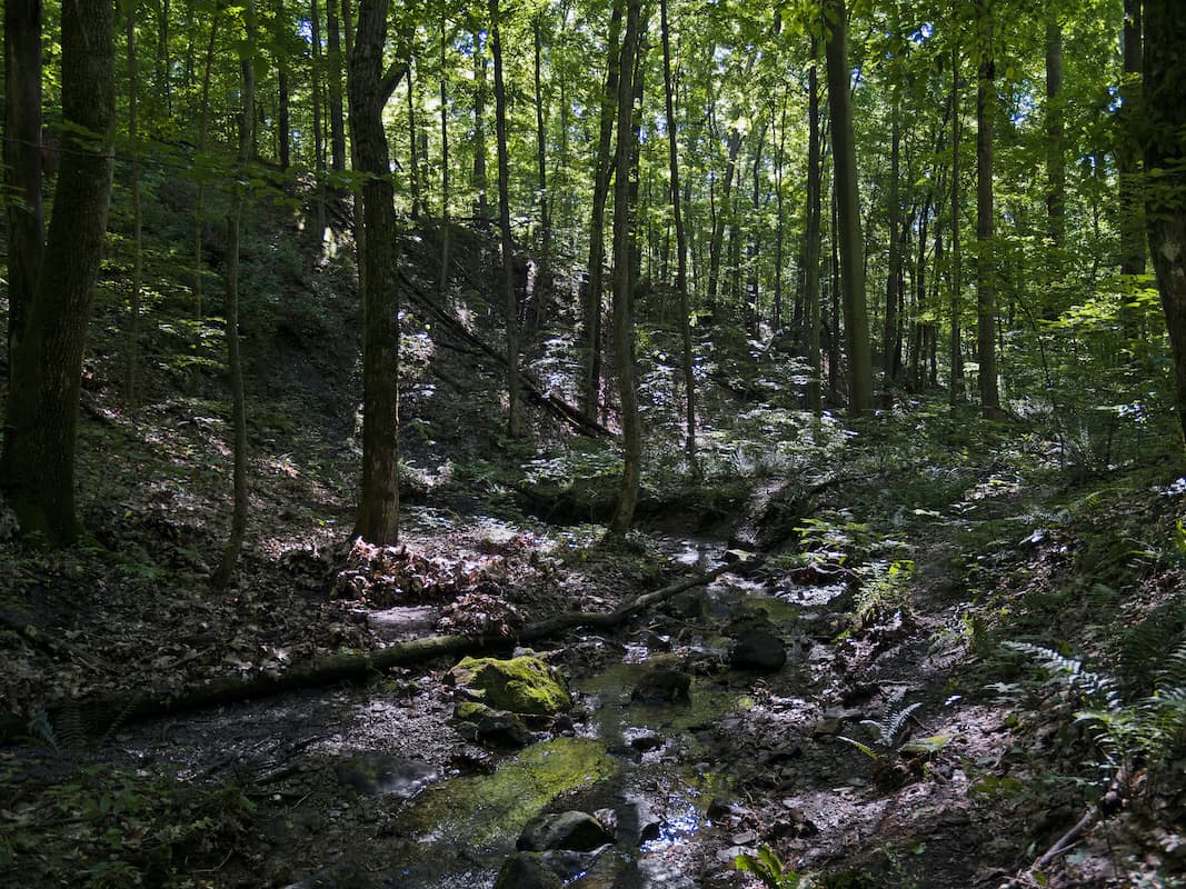“With landscapes, I take varying versions one shot at a time. Quite often what becomes an important variable only becomes obvious later on the computer screen. And in a rapidly changing light situation in particular, multiple shots are a necessity.”