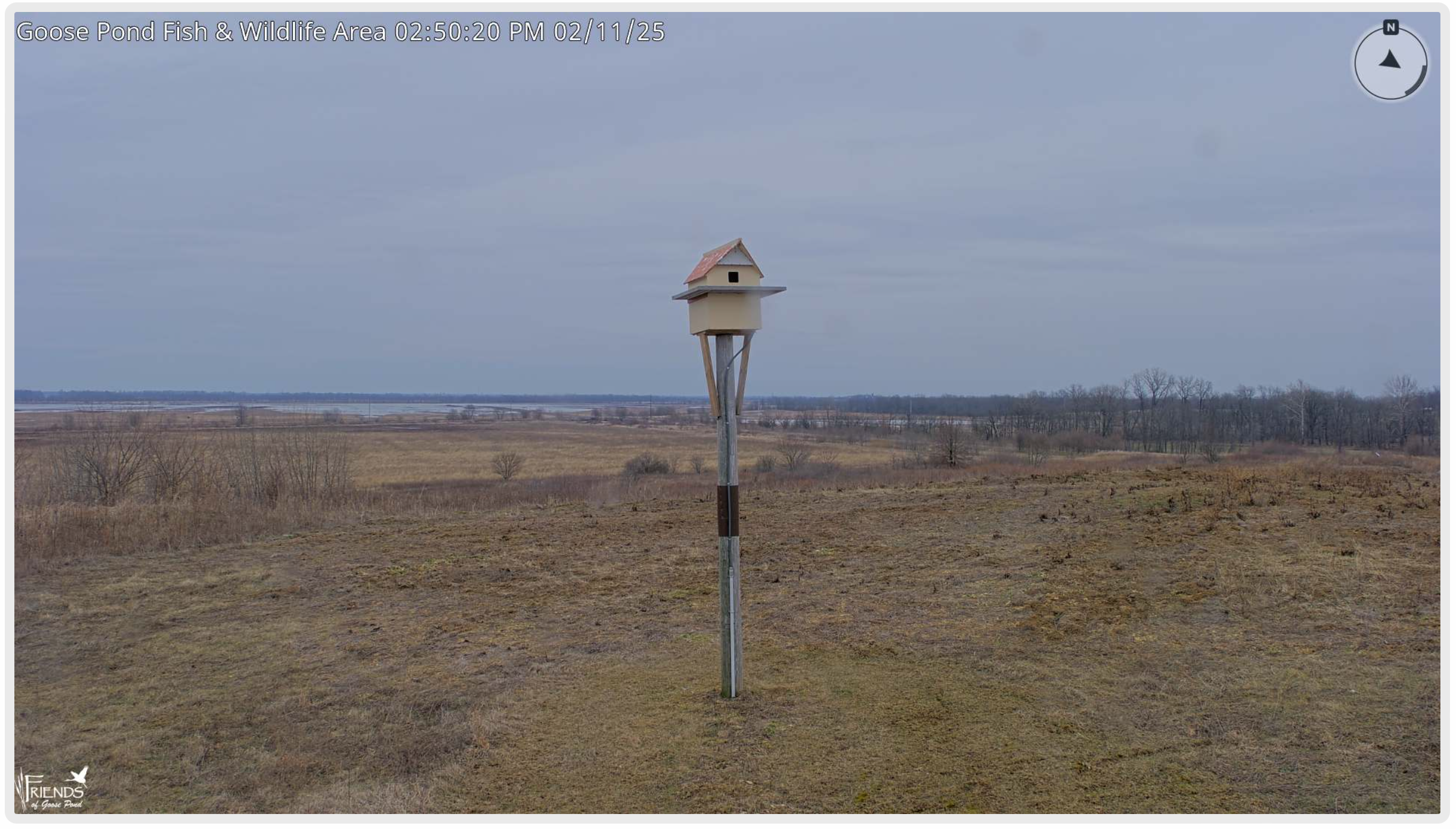Click the image above to view live video from the wildlife cameras on the Indiana Department of Natural Resources <a href="https://www.in.gov/dnr/fish-and-wildlife/properties/goose-pond-fwa/goose-pond-fish-and-wildlife-cameras/" target="_blank">webpage</a>.